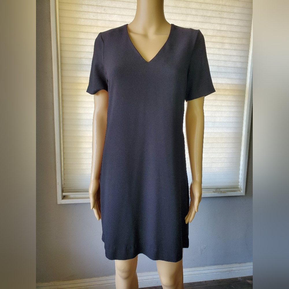 Charles Henry dress